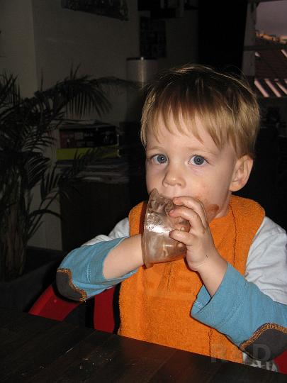Imme 16 oktober 2008 (2).JPG